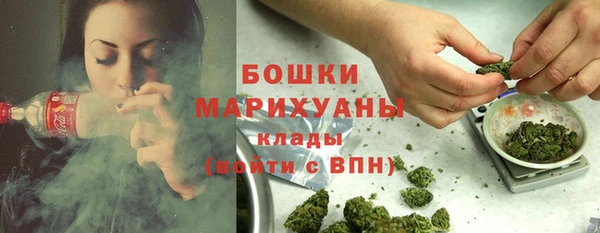бошки Алексин