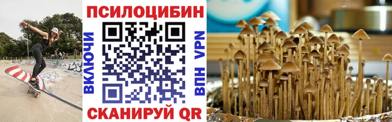 наркота  kraken ONION  Псилоцибиновые грибы ЛСД  Урюпинск 